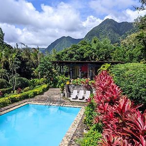 The Golden Frog Inn